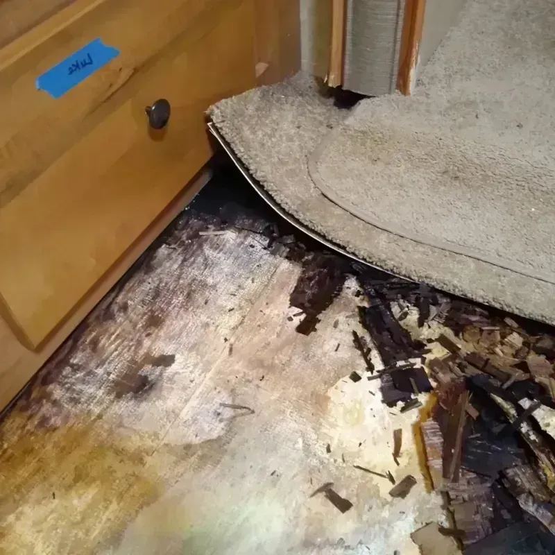 Wood Floor Water Damage in Miller, SD